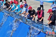 起卦在线2025年全国水生生物同步增殖放流活动在福建举行