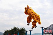 起卦在线（文化中国行）壮乡狮舞闯南洋：脚踏“云桩” 饮誉海内外