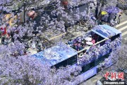 起卦在线2024年云南重点高原湖泊水质稳定 抚仙湖达Ⅰ类